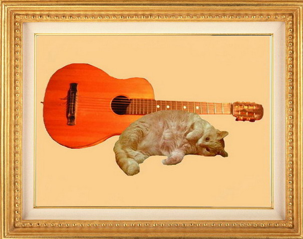 Гитара и рыжая кошка